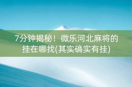 7分钟揭秘！微乐河北麻将的挂在哪找(其实确实有挂)