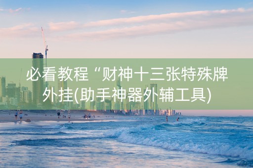 必看教程“财神十三张特殊牌外挂(助手神器外辅工具)