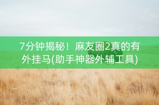 7分钟揭秘！麻友圈2真的有外挂马(助手神器外辅工具)