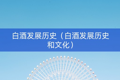 白酒发展历史（白酒发展历史和文化）