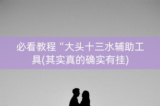 必看教程“大头十三水辅助工具(其实真的确实有挂)