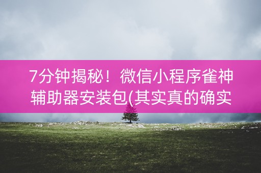 7分钟揭秘！微信小程序雀神辅助器安装包(其实真的确实有挂)