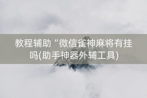 教程辅助“微信雀神麻将有挂吗(助手神器外辅工具)