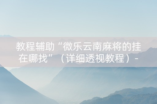 教程辅助“微乐云南麻将的挂在哪找”（详细透视教程）-哔哩哔哩