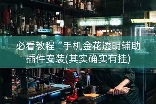 必看教程“手机金花透明辅助插件安装(其实确实有挂)