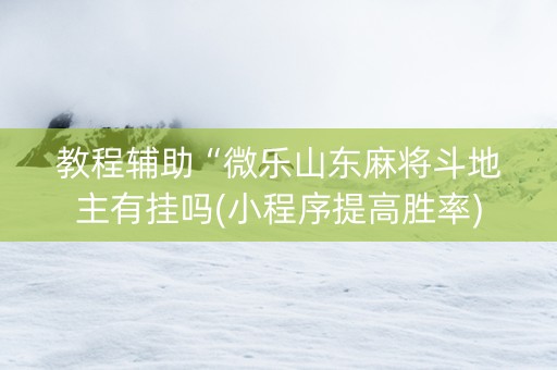 教程辅助“微乐山东麻将斗地主有挂吗(小程序提高胜率)