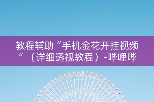 教程辅助“手机金花开挂视频”（详细透视教程）-哔哩哔哩