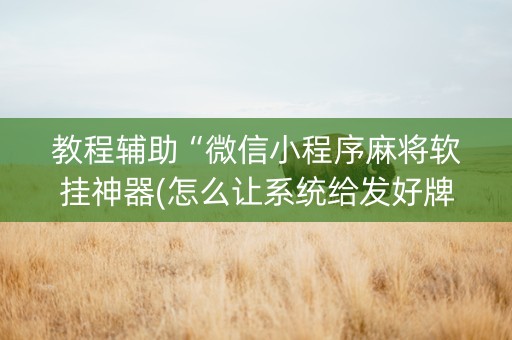 教程辅助“微信小程序麻将软挂神器(怎么让系统给发好牌)