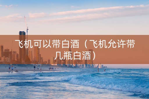飞机可以带白酒（飞机允许带几瓶白酒）