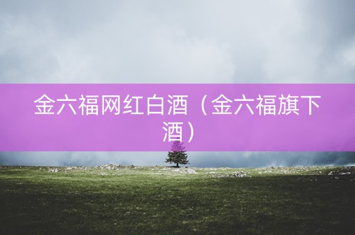 金六福网红白酒（金六福旗下酒）