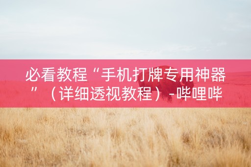 必看教程“手机打牌专用神器”（详细透视教程）-哔哩哔哩