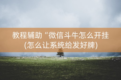 教程辅助“微信斗牛怎么开挂(怎么让系统给发好牌)