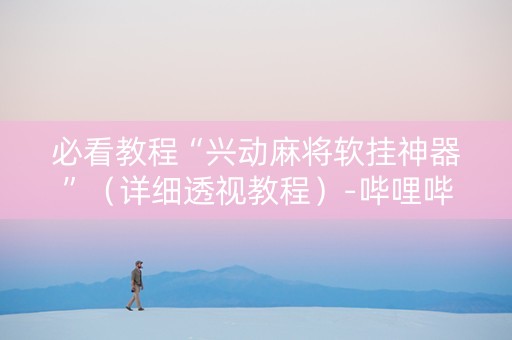 必看教程“兴动麻将软挂神器”（详细透视教程）-哔哩哔哩