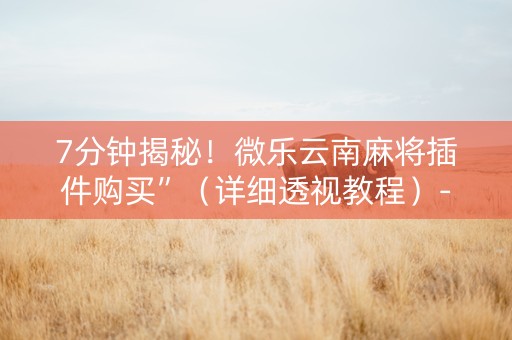 7分钟揭秘！微乐云南麻将插件购买”（详细透视教程）-哔哩哔哩