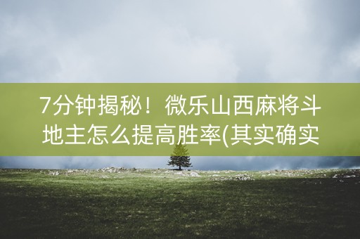 7分钟揭秘！微乐山西麻将斗地主怎么提高胜率(其实确实有挂)