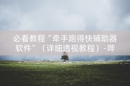 必看教程“牵手跑得快辅助器软件”（详细透视教程）-哔哩哔哩