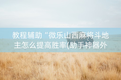 教程辅助“微乐山西麻将斗地主怎么提高胜率(助手神器外辅工具)