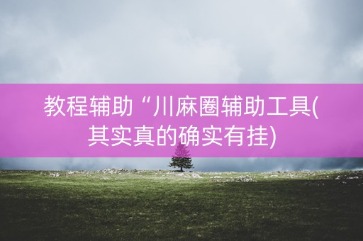 教程辅助“川麻圈辅助工具(其实真的确实有挂)