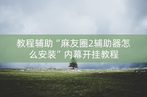 教程辅助“麻友圈2辅助器怎么安装”内幕开挂教程