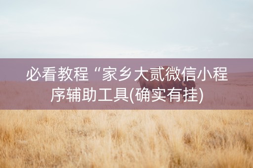 必看教程“家乡大贰微信小程序辅助工具(确实有挂)