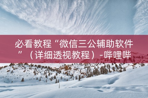 必看教程“微信三公辅助软件”（详细透视教程）-哔哩哔哩
