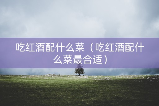 吃红酒配什么菜（吃红酒配什么菜最合适）