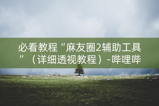 必看教程“麻友圈2辅助工具”（详细透视教程）-哔哩哔哩