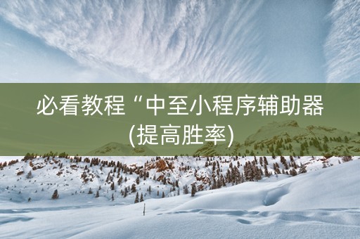 必看教程“中至小程序辅助器(提高胜率)