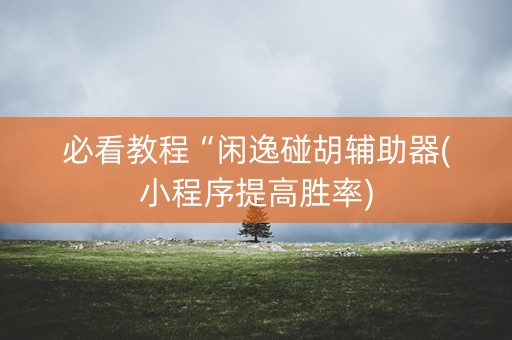 必看教程“闲逸碰胡辅助器(小程序提高胜率)