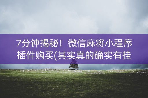 7分钟揭秘！微信麻将小程序插件购买(其实真的确实有挂)