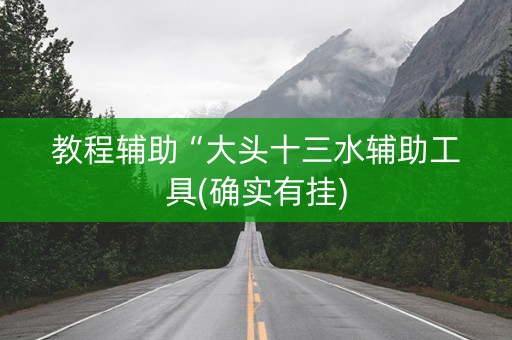 教程辅助“大头十三水辅助工具(确实有挂)