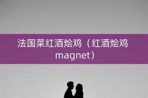 法国菜红酒烩鸡（红酒烩鸡 magnet）
