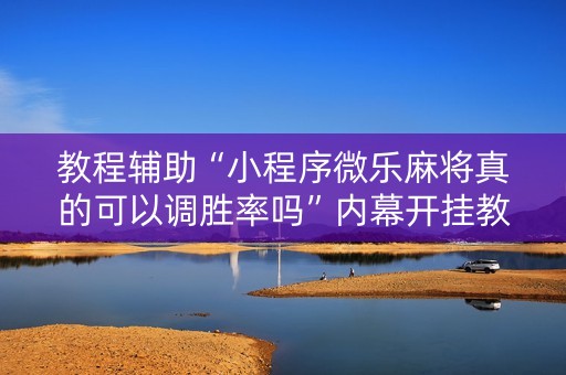 教程辅助“小程序微乐麻将真的可以调胜率吗”内幕开挂教程