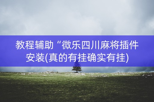 教程辅助“微乐四川麻将插件安装(真的有挂确实有挂)
