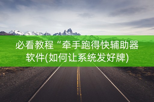 必看教程“牵手跑得快辅助器软件(如何让系统发好牌)