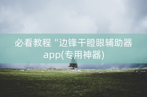 必看教程“边锋干瞪眼辅助器app(专用神器)