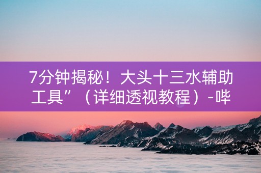 7分钟揭秘！大头十三水辅助工具”（详细透视教程）-哔哩哔哩