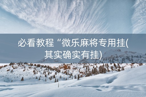 必看教程“微乐麻将专用挂(其实确实有挂)