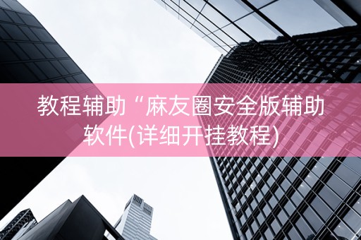 教程辅助“麻友圈安全版辅助软件(详细开挂教程)
