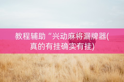 教程辅助“兴动麻将漏牌器(真的有挂确实有挂)
