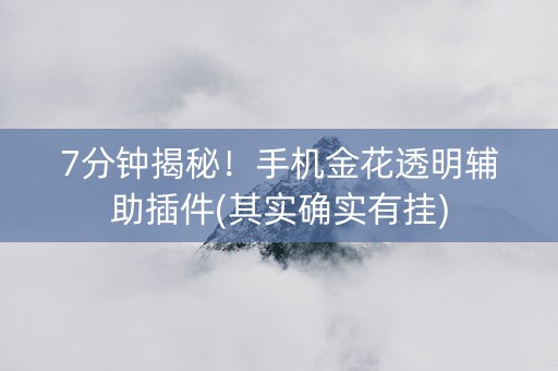 7分钟揭秘！手机金花透明辅助插件(其实确实有挂)