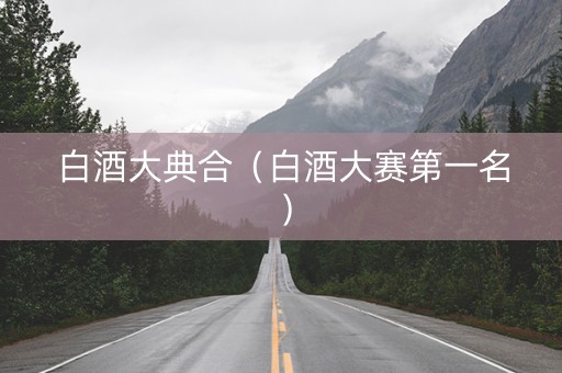 白酒大典合（白酒大赛第一名）