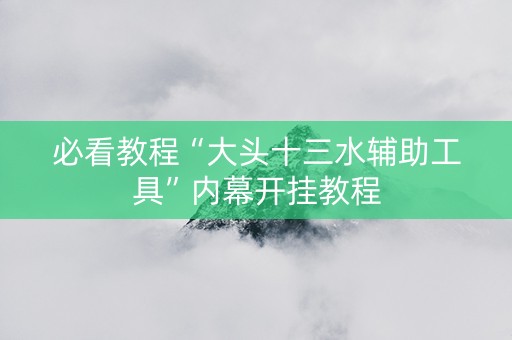 必看教程“大头十三水辅助工具”内幕开挂教程
