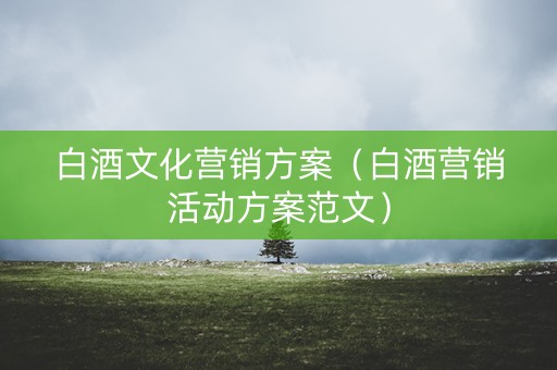 白酒文化营销方案（白酒营销活动方案范文）