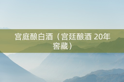 宫庭酿白酒（宫廷酿酒 20年窖藏）