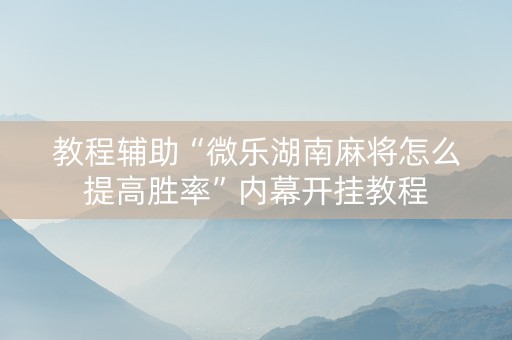 教程辅助“微乐湖南麻将怎么提高胜率”内幕开挂教程