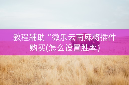 教程辅助“微乐云南麻将插件购买(怎么设置胜率)