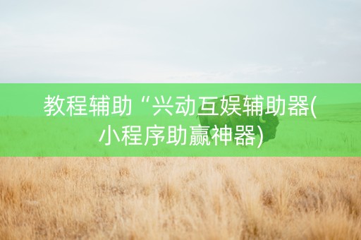 教程辅助“兴动互娱辅助器(小程序助赢神器)