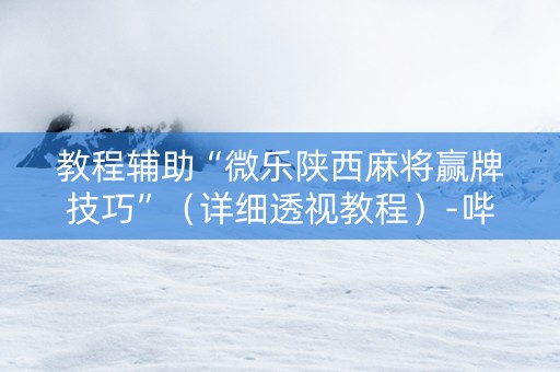 教程辅助“微乐陕西麻将赢牌技巧”（详细透视教程）-哔哩哔哩