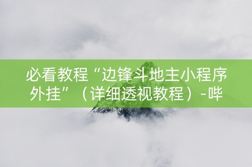 必看教程“边锋斗地主小程序外挂”（详细透视教程）-哔哩哔哩